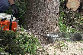 Best Soil Testing and Treatment  in Moorpark, CA