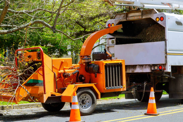 Best Commercial Tree Services  in Moorpark, CA